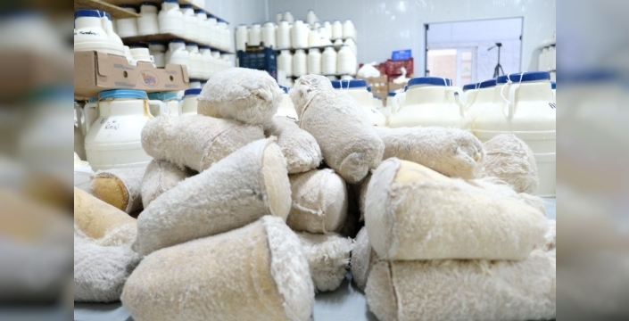 Erzincan tulum peyniri: Asırlık gelenek, modern üretim