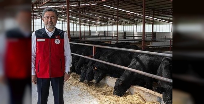 Hayvancılık Yol Haritası: Büyükbaş hayvan varlığı yüzde 3,65 arttı