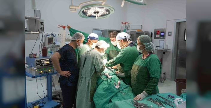 Malatya'da böbrek dokusu korunarak tümör alındı
