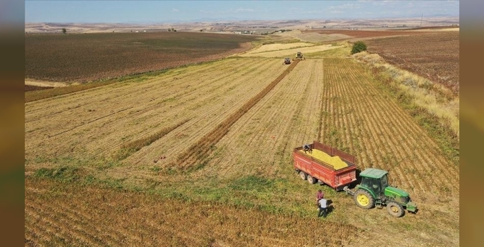 Tarım ve Orman Bakanlığı: 2026'da dekara 310 lira bitkisel üretim desteği