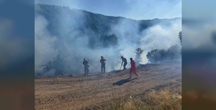 Tunceli Nazımiye'de çıkan yangın kontrol altına alındı
