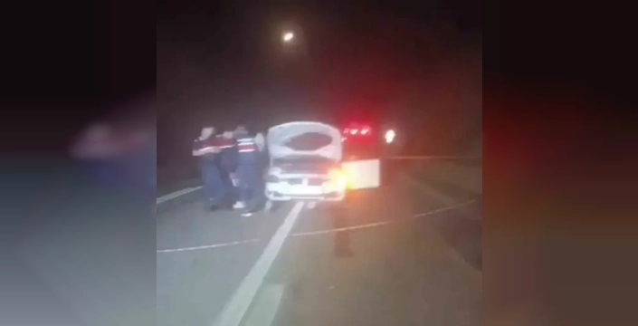 Mersin'de kamyona çarpan otomobilde bir kişi öldü, eşi yaralandı