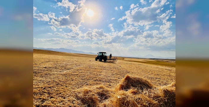 Ağrı'nın Yakınca Köyü'nde Gün Batımına Kadar Süren Emek: Tarımın Bereketi