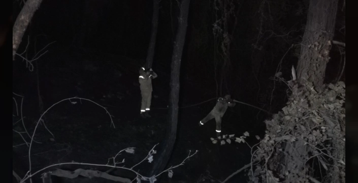 Alanya'da orman yangını: 3 hektarlık alan zarar gördü