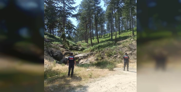 Aydın'da yangın alarmı: 44 derece sıcaklık bekleniyor