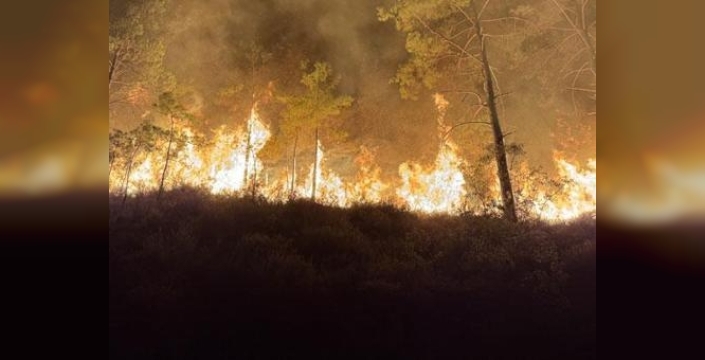 Bakanlık: UAEA kararını reddediyoruz
