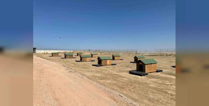 Bandırma'da sokak hayvanları için yeni yaşam alanları oluşturuluyor