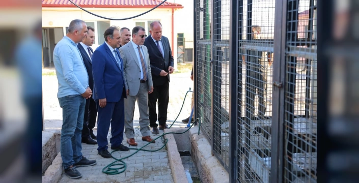Bayburt'ta yeni hayvan barınağı incelendi