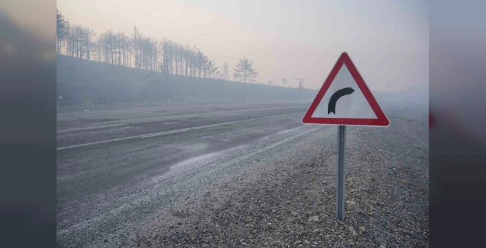 Bursa'da orman yangını: Üç gündür devam eden yangın kontrol altına alınmaya çalışılıyor