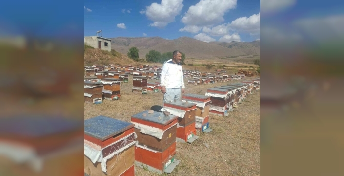 Çat'ta arıcılar ayı saldırılarından mağdur: 'Sabahlara kadar nöbet tutuyoruz'