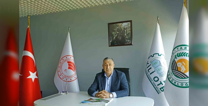 Dikili Jeotermal Sera Projesi İçin Dünya Bankası Desteği 65 Milyon Dolara Çıkarıldı