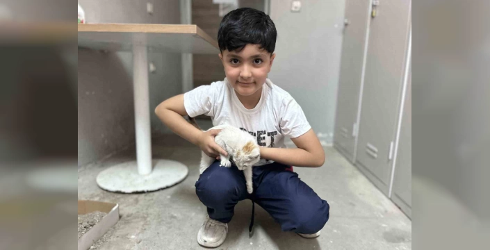 Diyadin Gençleri: Üç Yavru kediye sahip çıktı