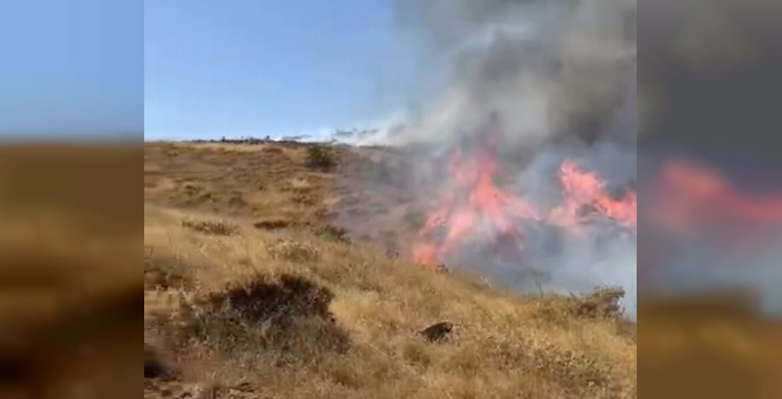 Doğanyol'da orman yangını kontrol altına alındı