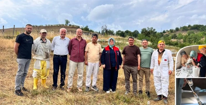 Düzce'de yığılca bal arısı ekotipi için önemli çalışmalar