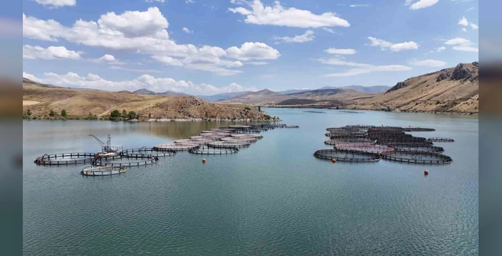 Erzincan'da balık üretimi artıyor: 5 bin ton hedefi
