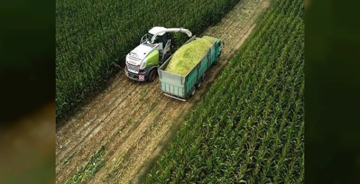 Gana, tarımda devrim için 100 milyon dolarlık yatırım alıyor