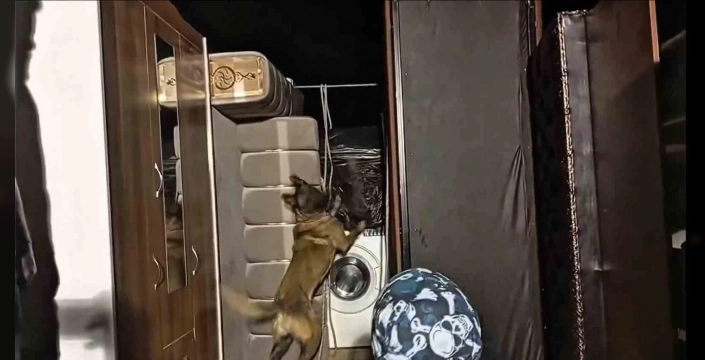 Hakkari'de büyük uyuşturucu operasyonu: 26 kilo skunk ele geçirildi
