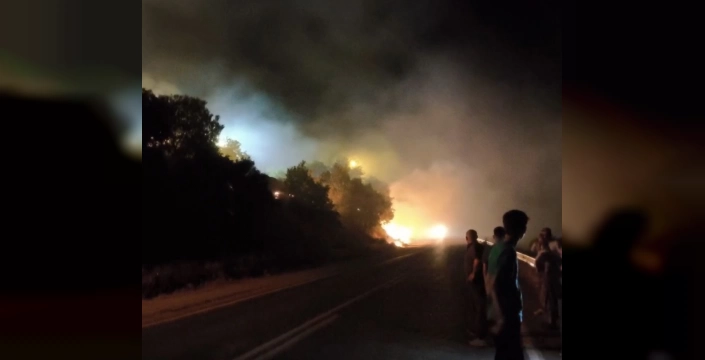 Hakkari'de Orman Yangını: Doğal Yaşam Tehlikede