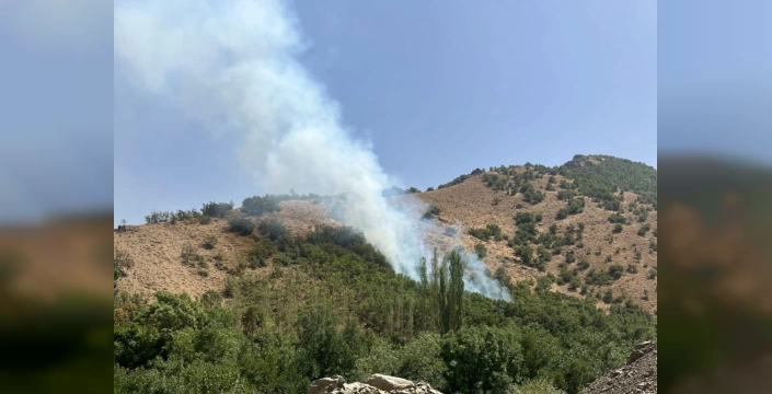 Hakkari Şemdinli'de orman yangını: Köylüler kendi imkanlarıyla müdahale ediyor