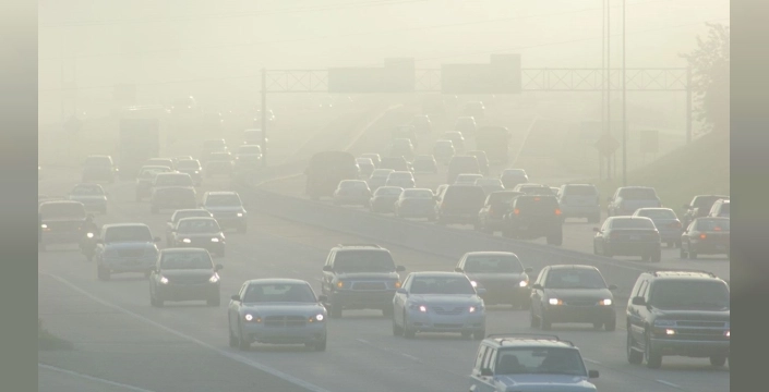 Hava kirliliği, Lewy cisimcikli demans riskini artırıyor