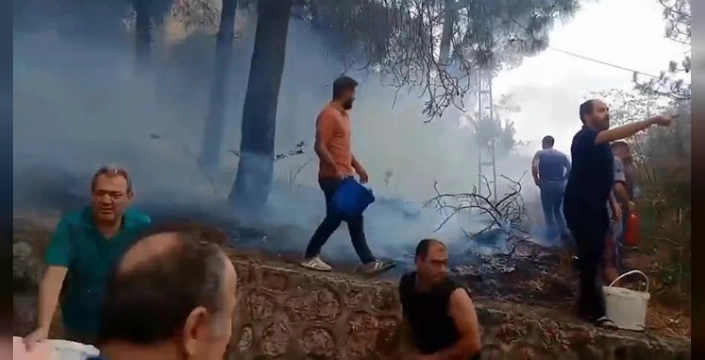 İzmit'te orman yangını: Mahalleli kovalarla müdahale etti