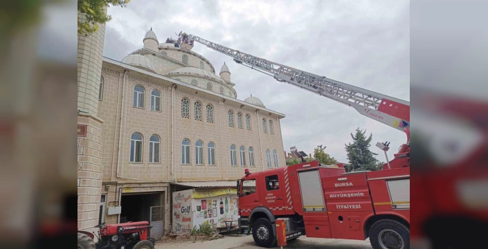 İznik'te mahsur kalan leylek kurtarıldı