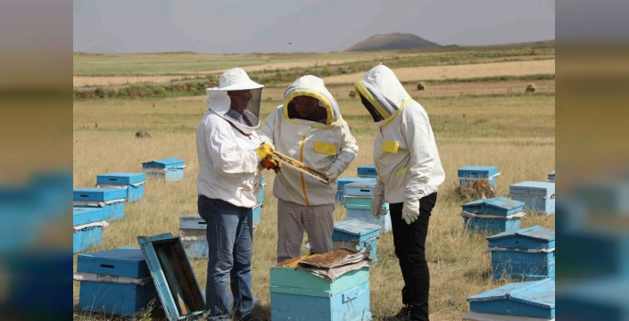 Kars'ta Bal Rekoltesi Beklentisi: 1800 Tonluk Hedef