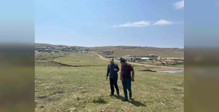 Kars'ta Şap Hastalığıyla Mücadele Devam Ediyor