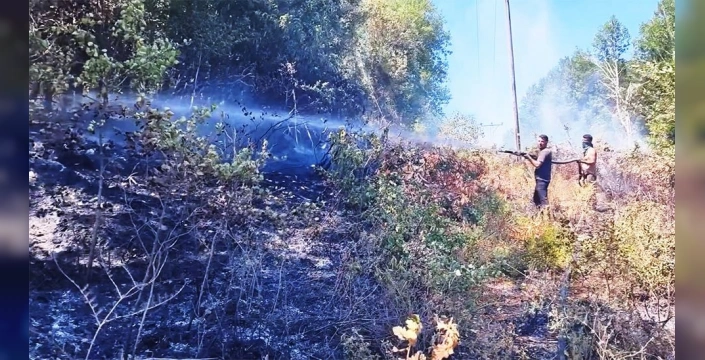 Kastamonu'da Orman Yangını Tehlikesi Geçti: İtfaiye Ekiplerinin Başarılı Müdahalesi