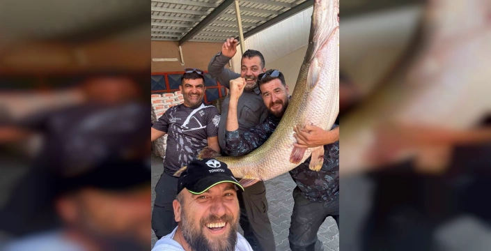 Malatya'da dev turna: 1.60 metre, 46 kilo!