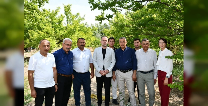 Malatya'da Don Felaketi: Kayısı Üreticileri Çaresiz