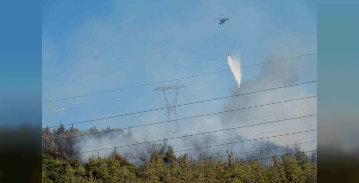 Manisa'da Orman Yangını: Yerleşim Yerlerine Tehdit