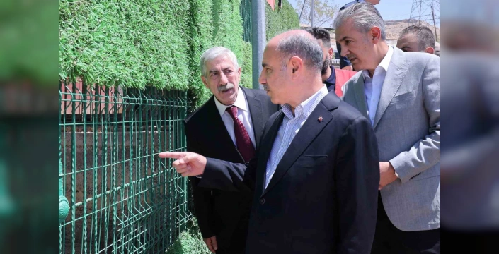 Mardin'de sahipsiz hayvanlar için yapılan çalışmalar incelendi