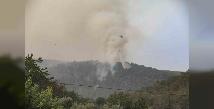 Mersin'de Orman Yangını: 270 Büyükbaş Hayvan ve 4 Vatandaş Kurtarıldı