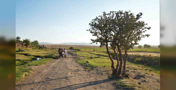 Muş'ta berivanlar teknolojiyle buluştu