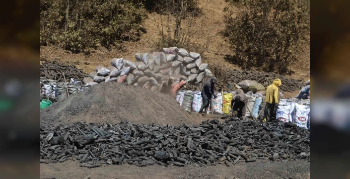 Muş'ta zorlu şartlarda mangal kömürü üretimi