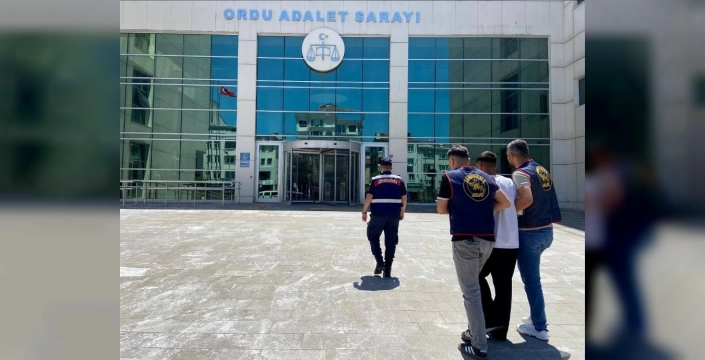 Ordu'da Jandarma Baskını: 37 Şüpheli Yakalandı