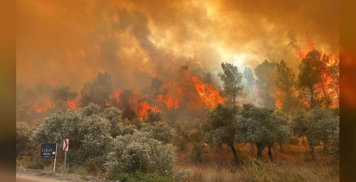 Orman Yangınları: Bakan Yumaklı'dan müjdeli haber, Türkiye'nin dört bir yanında mücadele sürüyor