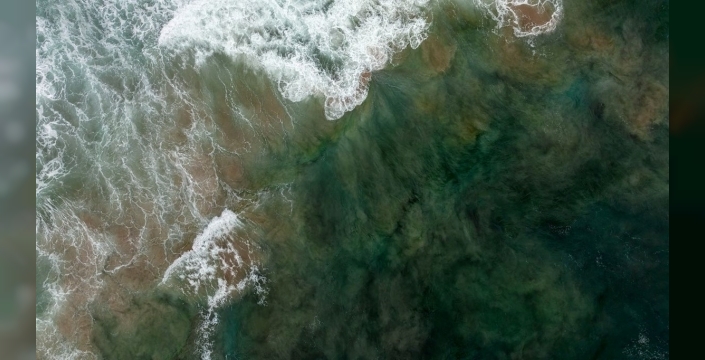 Panama Körfezi'nde alarm: 40 yıldır ilk kez okyanus akıntısı gerçekleşmedi