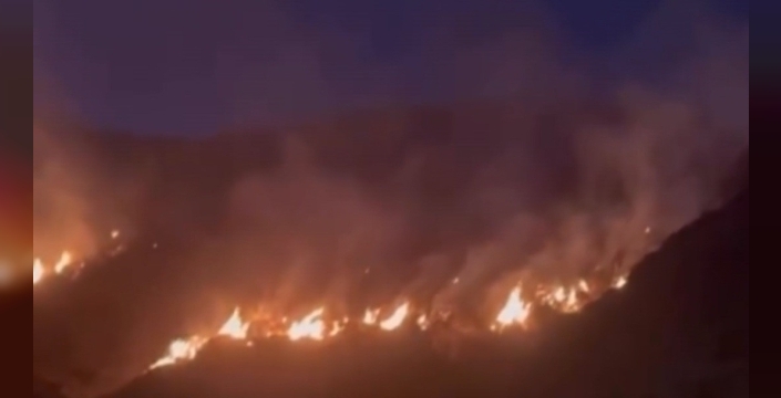 Refahiye'de örtü yangını kontrol altına alındı