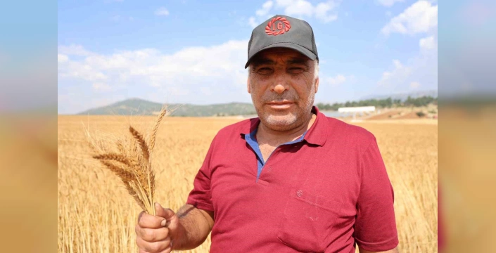 Saimbeyli'de atıl araziler canlandı: 60 dönümden 25 ton buğday hasadı