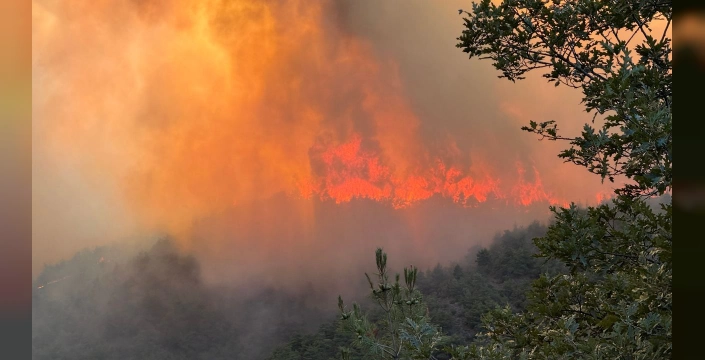 Sakarya'da korkutan yangın: Bilecik ve Bursa'ya da sıçradı