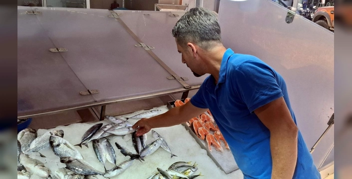 Sinop'ta palamut fiyatları 350 liraya yükseldi