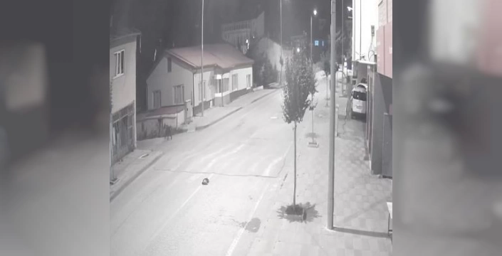 Sivas Zara'da ayılar cadde ve sokaklarda