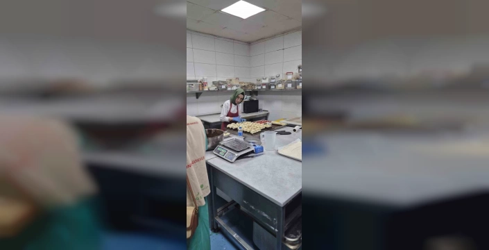 Söke'de gıda denetimleri