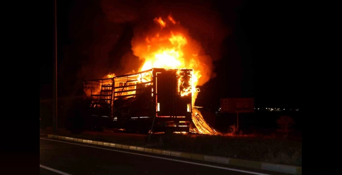 Tercan'da tır yangını: Dorse tamamen yandı