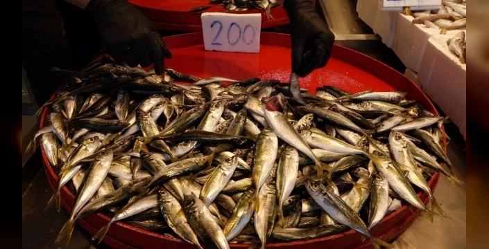 Trabzon'da av yasağı sonrası balık tezgahları hareketlendi