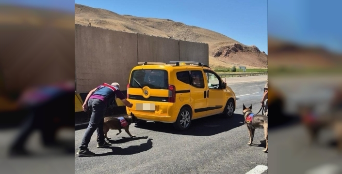 Van'da jandarma operasyonu: 17 tutuklama