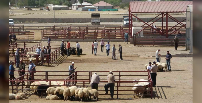 Van'da şap nedeniyle kapatılan hayvan pazarı yeniden açıldı