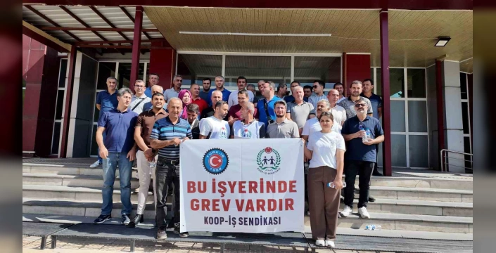 Van Erciş'te SYDV Çalışanları Grevde